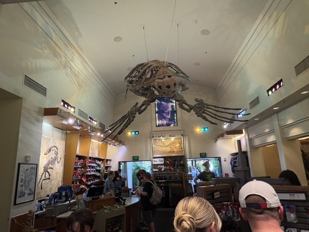 Dino Institute gift shop