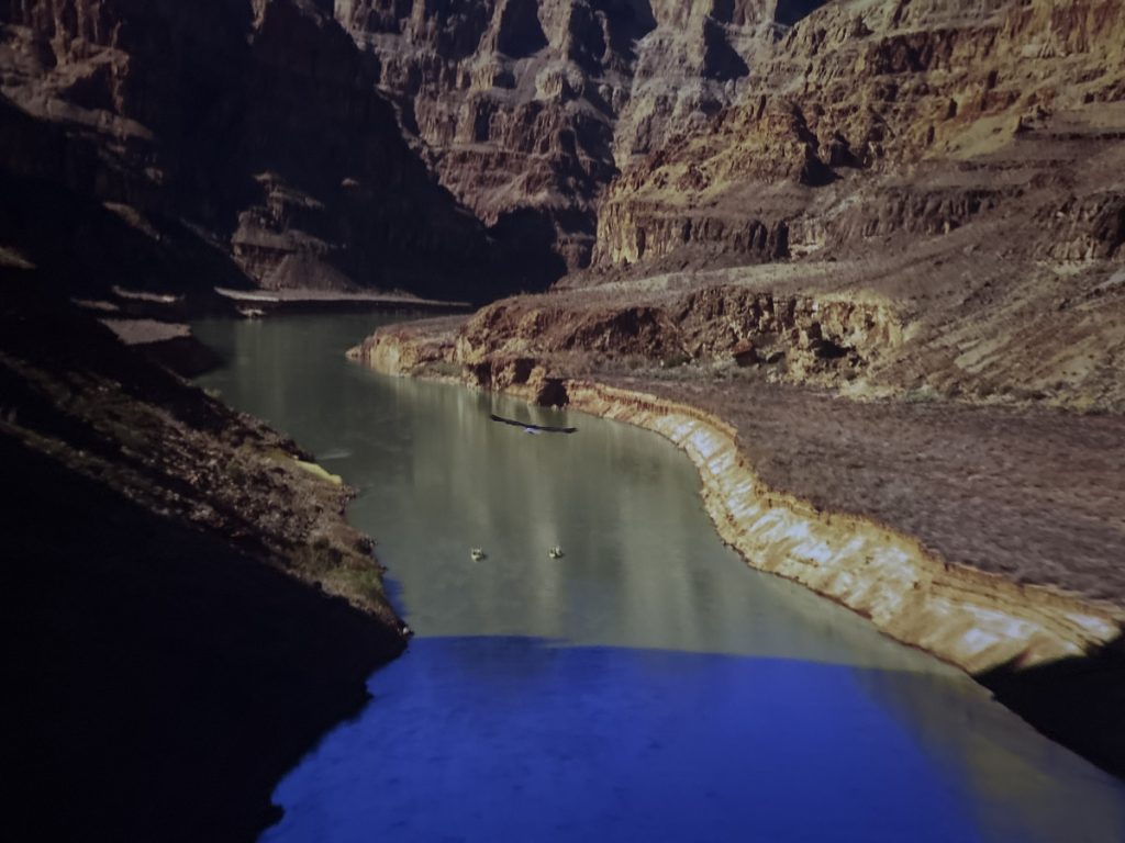 Soarin' through the Grand Canyon