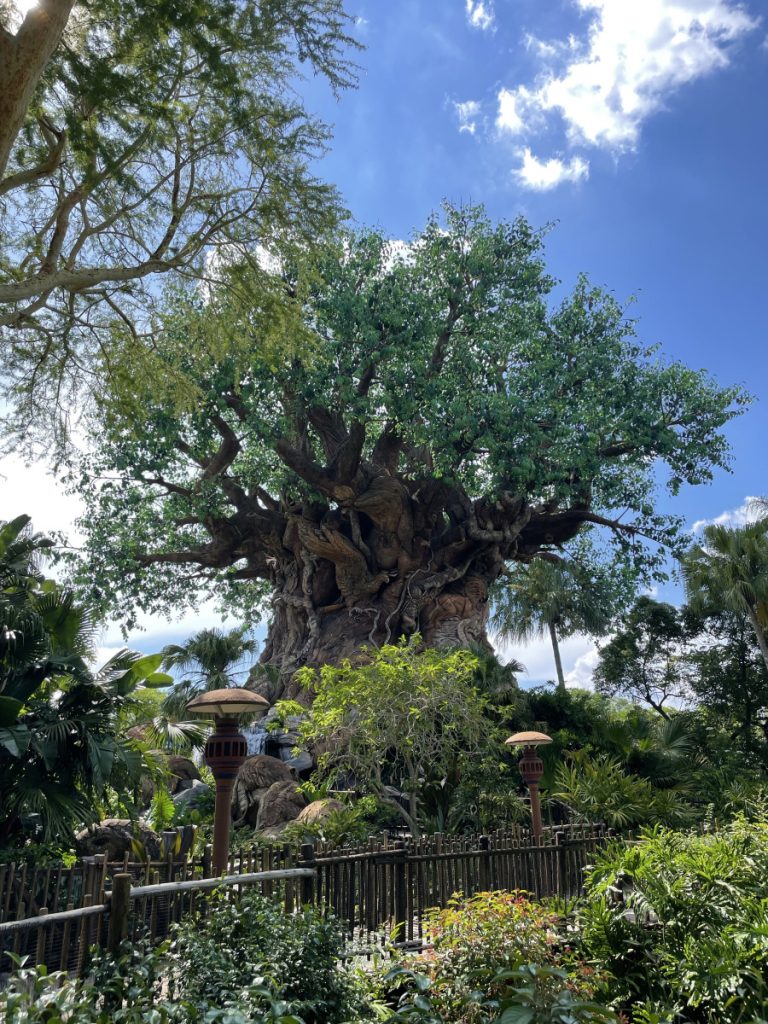 Tree of Life at Animal Kingdom